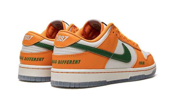 Nike Dunk Low "Florida A&M"