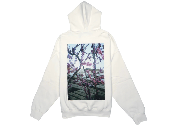 White fear of god essentials hoodie hot sale